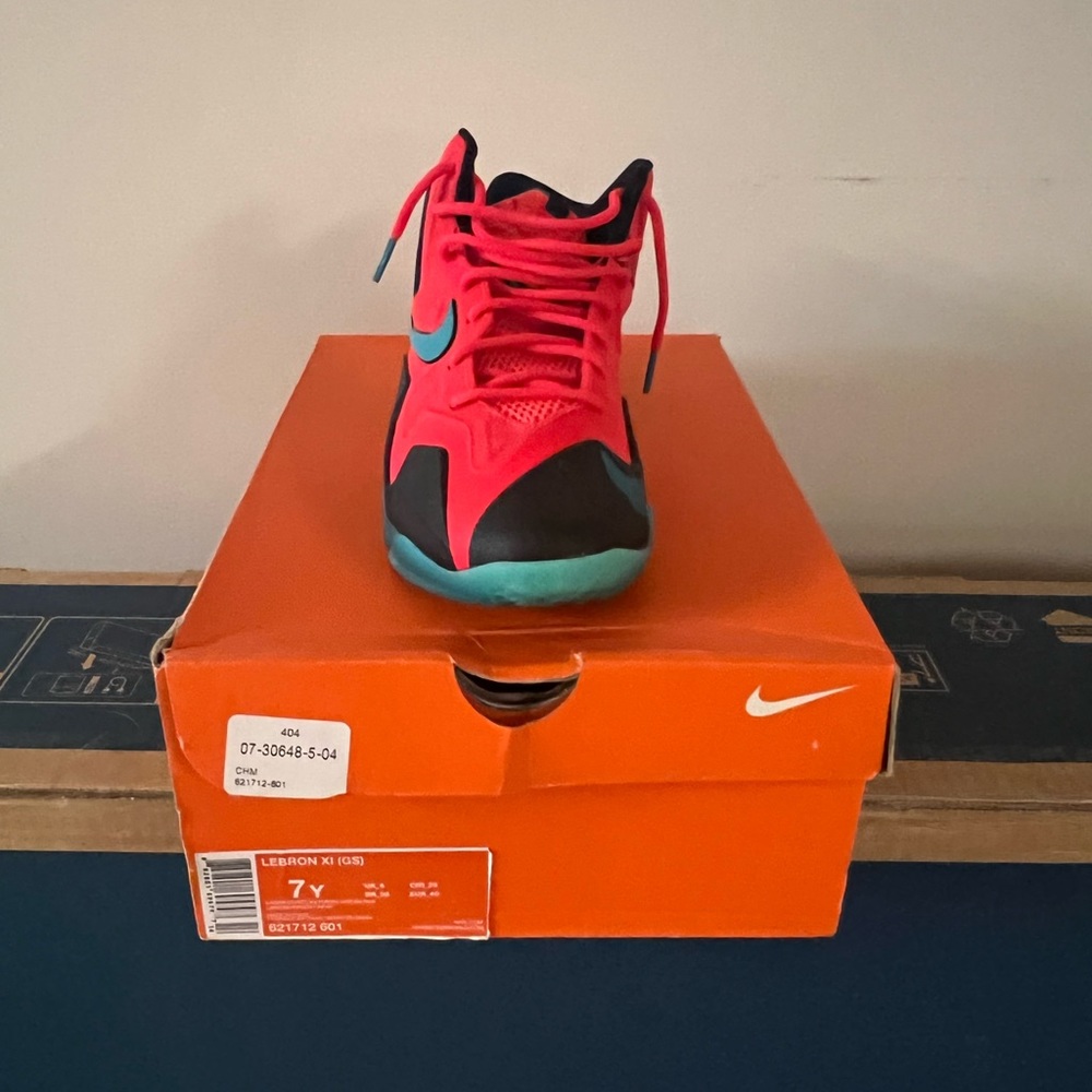 Lebrons shoes